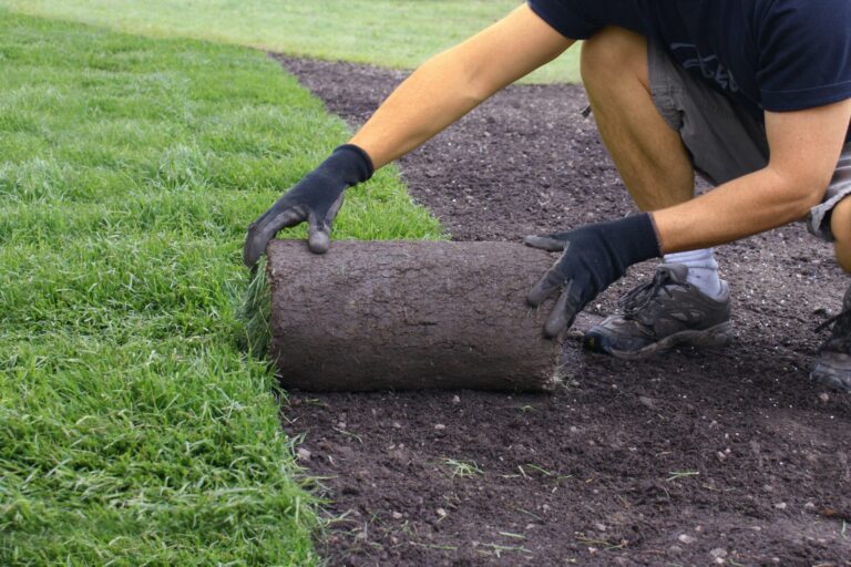 Buttrose landscape Person laying turf