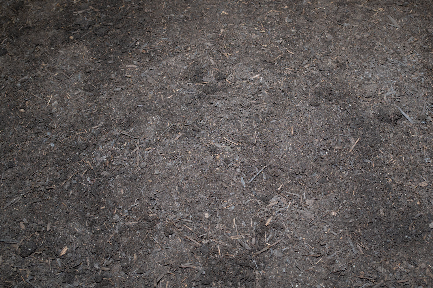 Forest Mulch