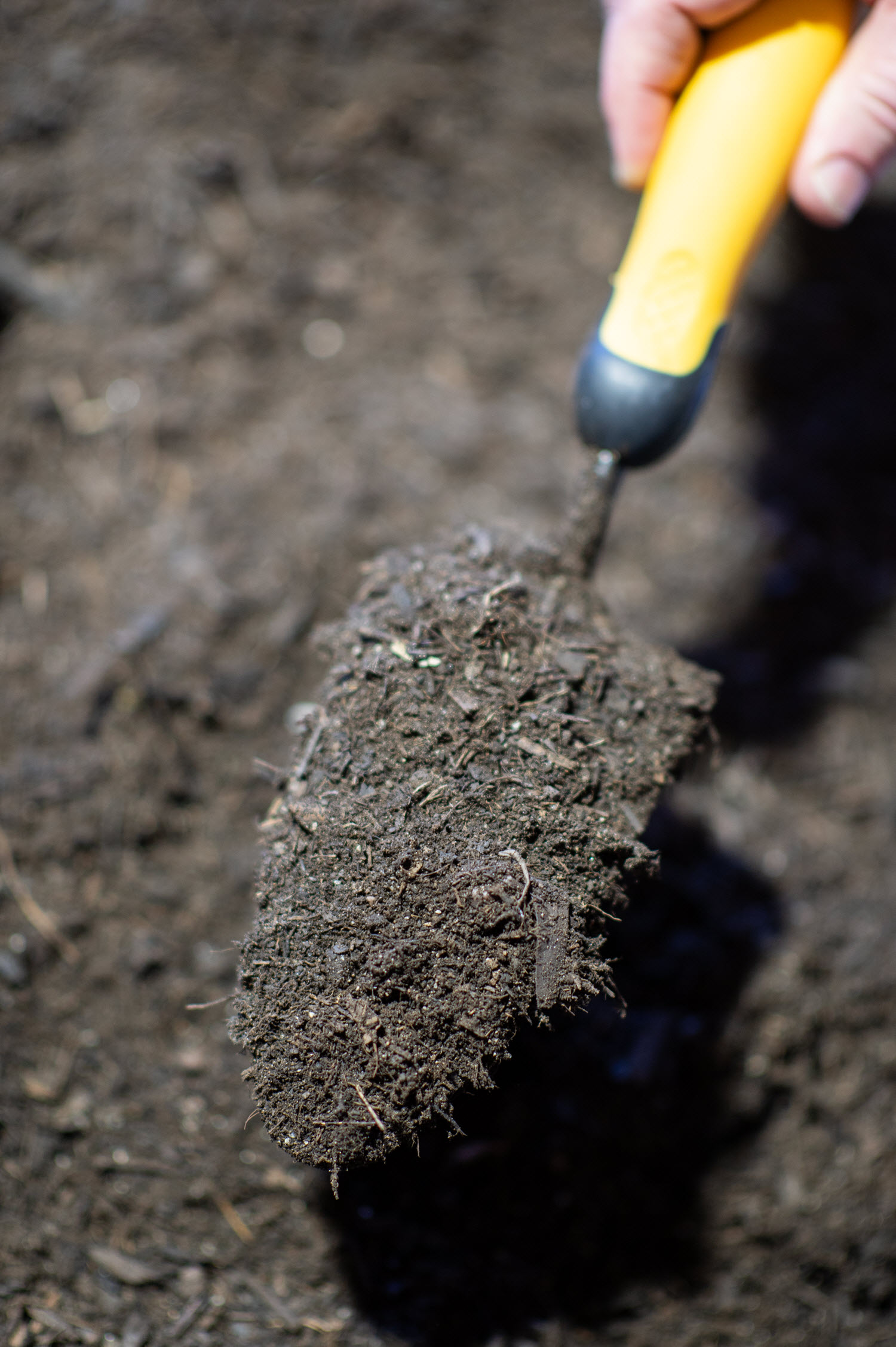 Forest Mulch with shovel