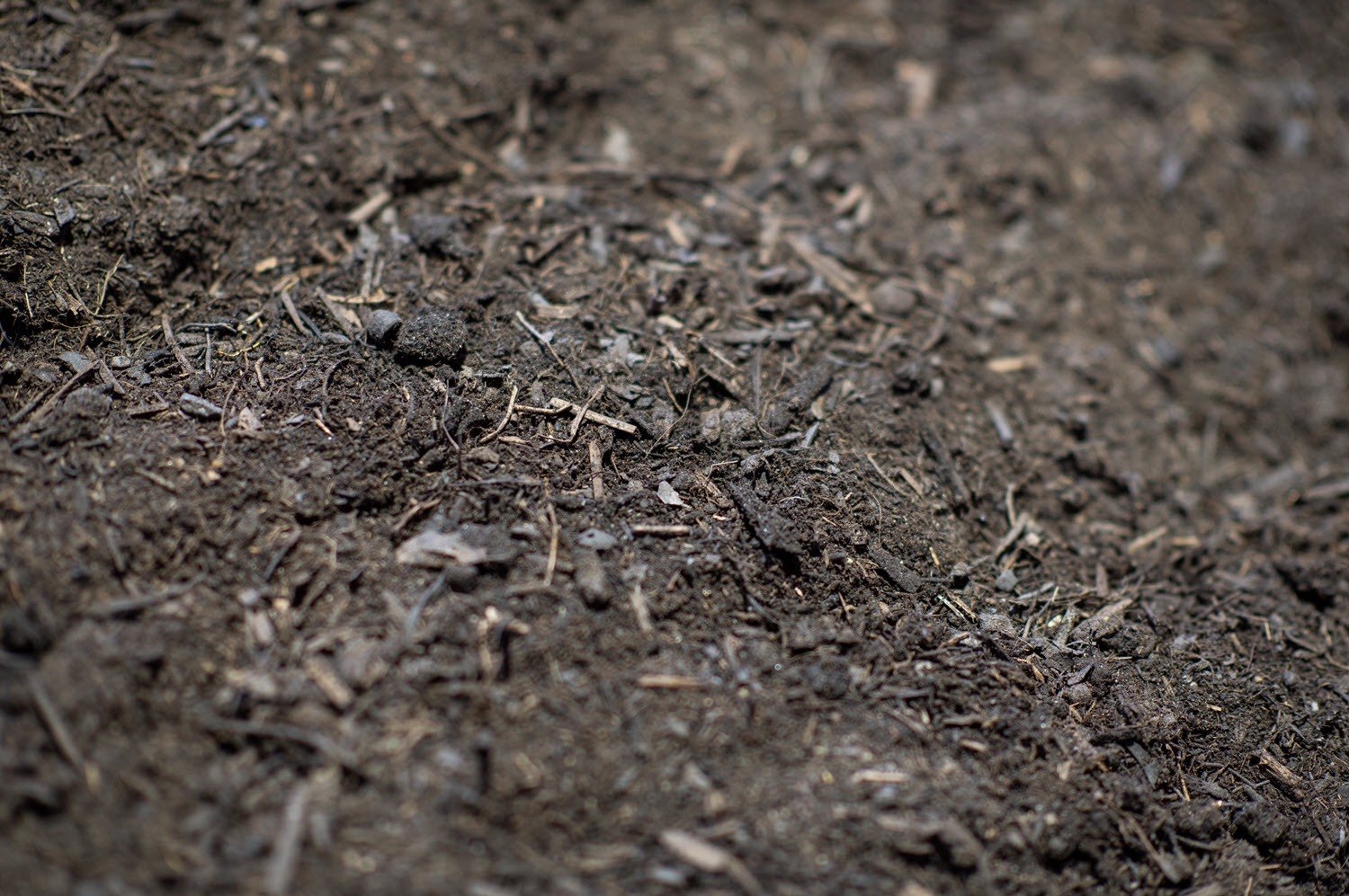 Forest Mulch