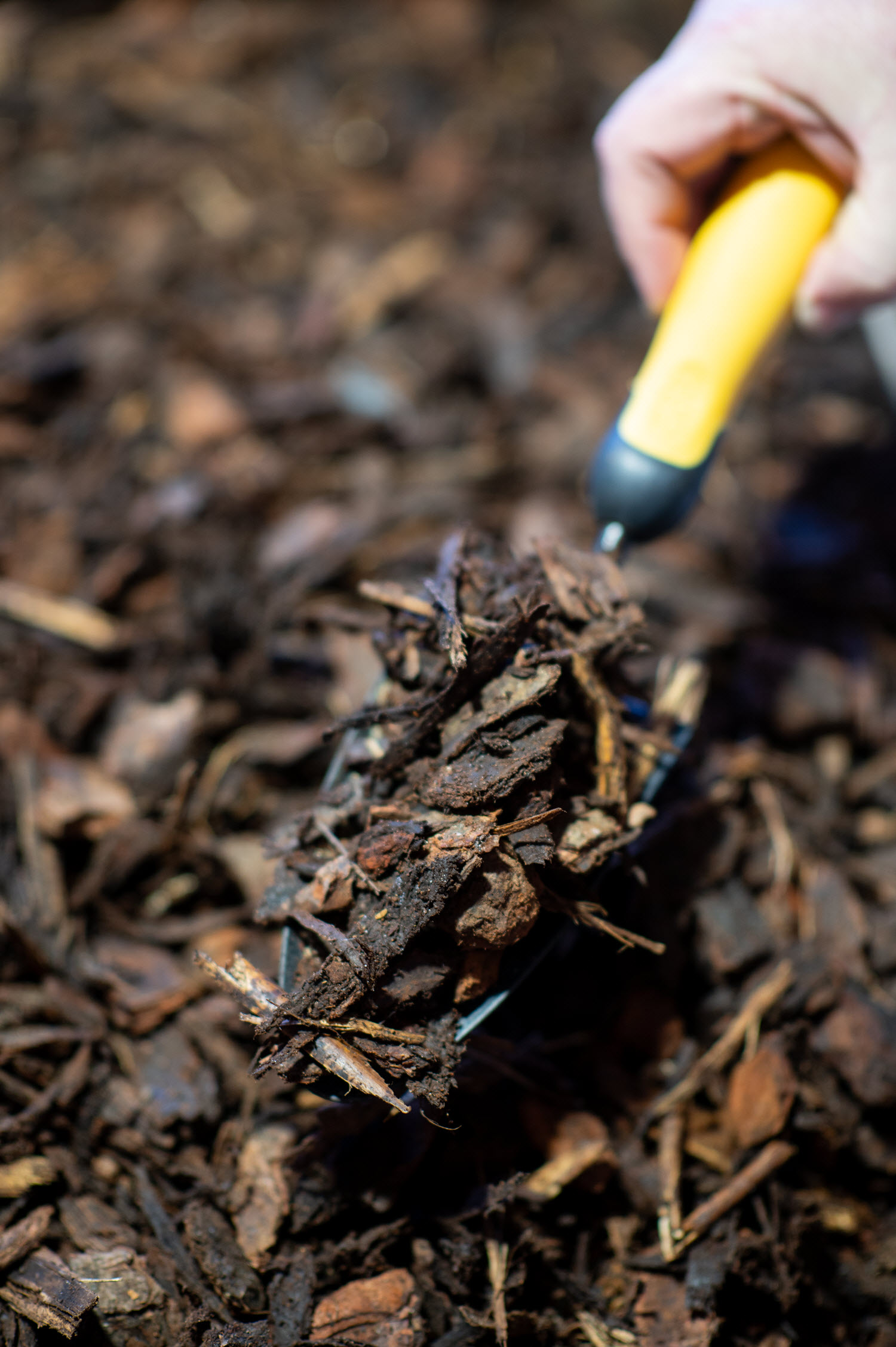 Pine bark ground cover 25mm with shovel