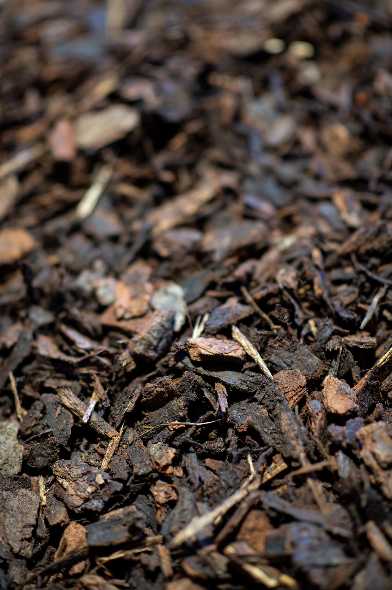 Pine bark ground cover 25mm