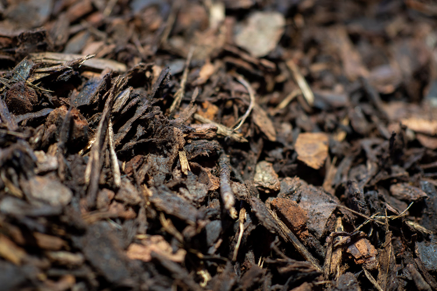 Pine bark ground cover 25mm