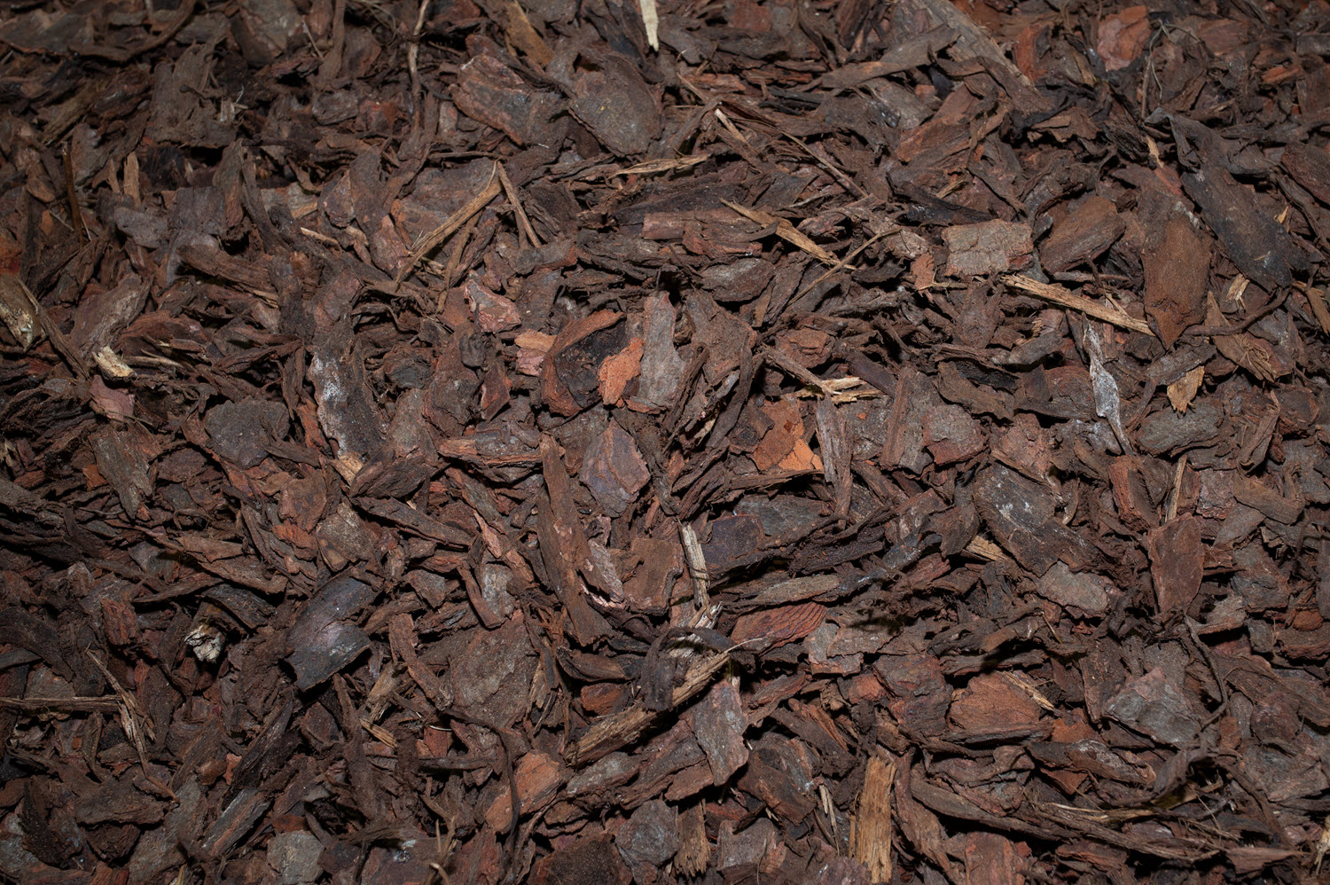 Pine bark ground cover 40mm