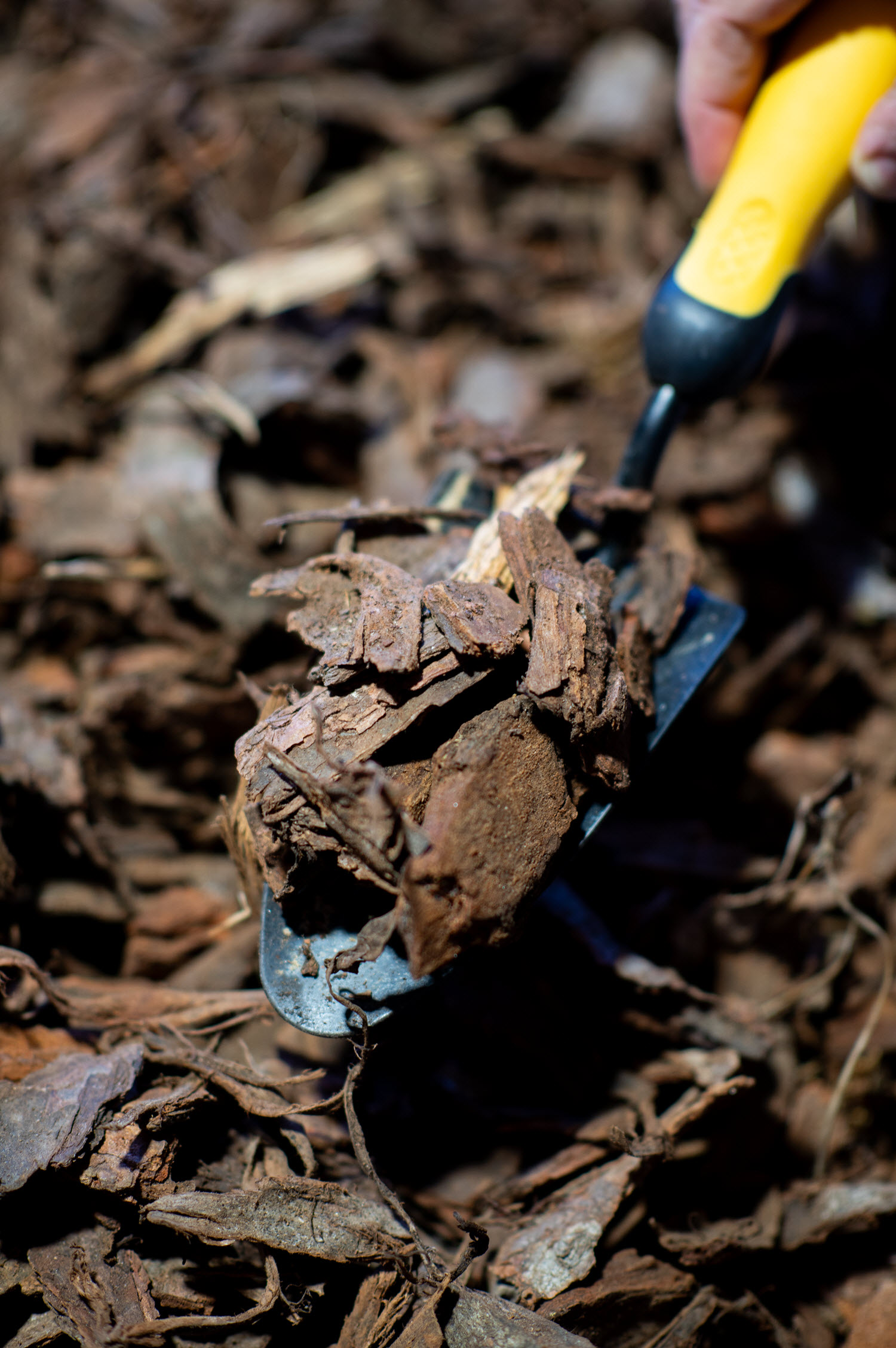 Pine bark ground cover 40mm shovel