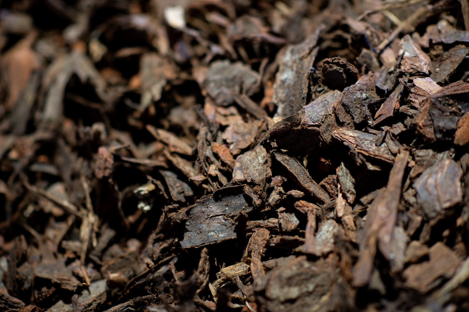 Pine bark ground cover 40mm