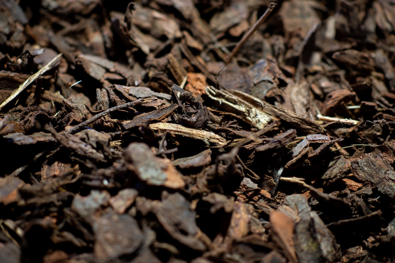 Pine bark ground cover 40mm