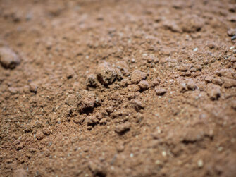 Buttrose Mixed loam