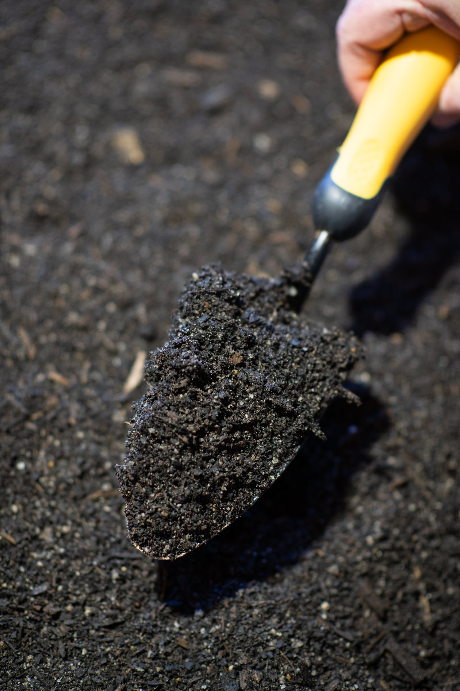Buttrose Garden Potting Mix with shovel