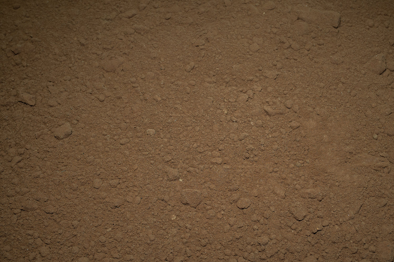 Buttrose Sandy Loam