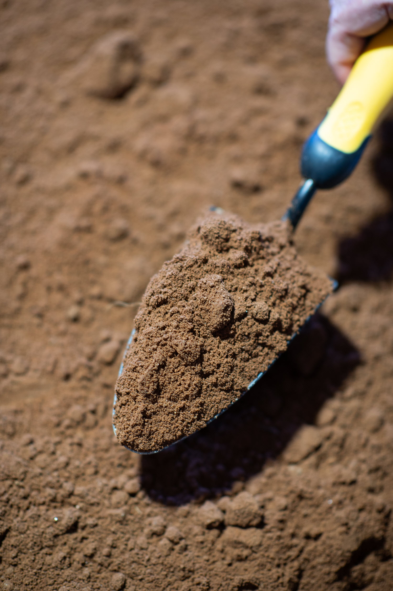 Buttrose Sandy Loam with shovel