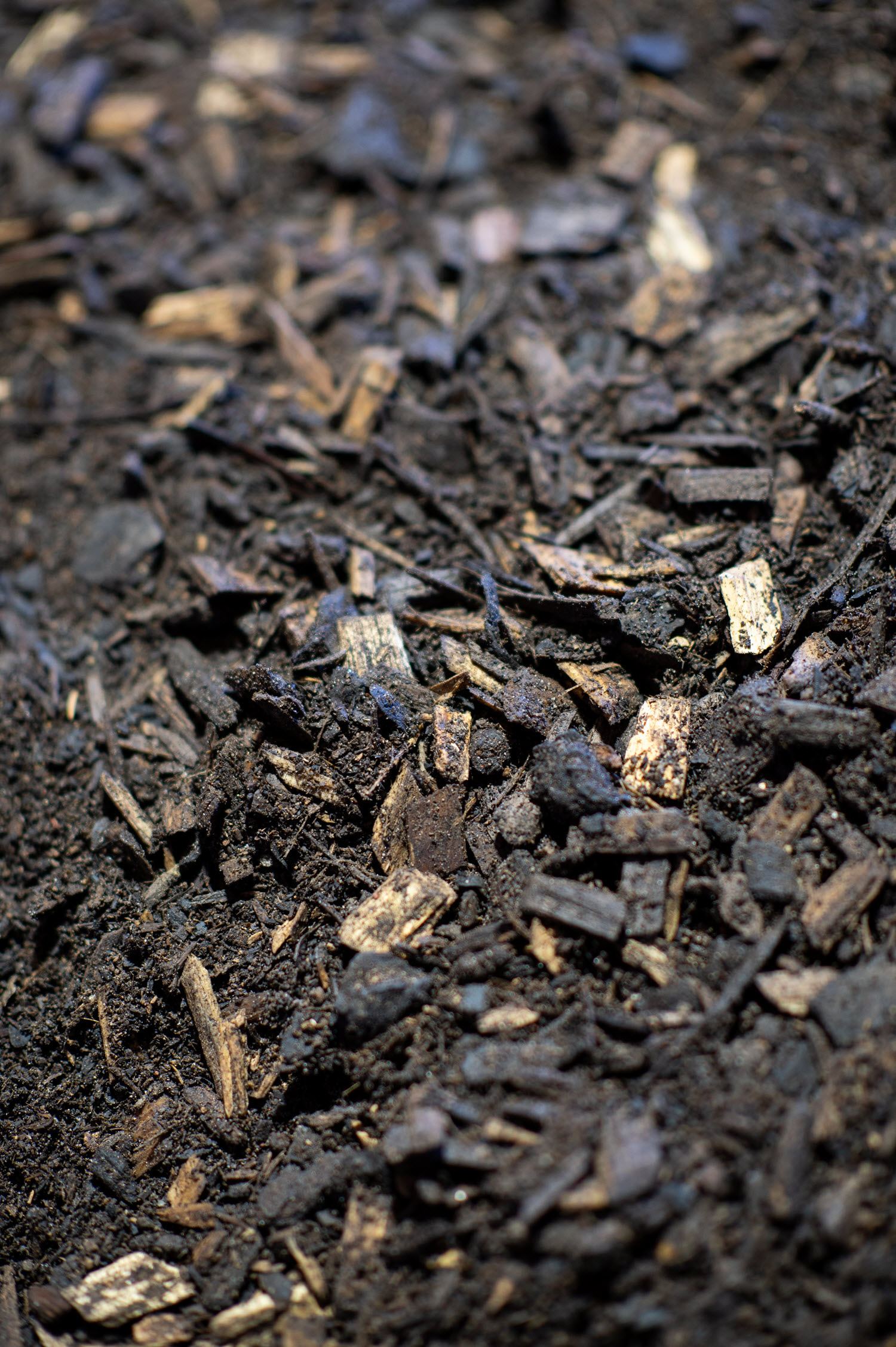 Watersaving Cabin Mulch