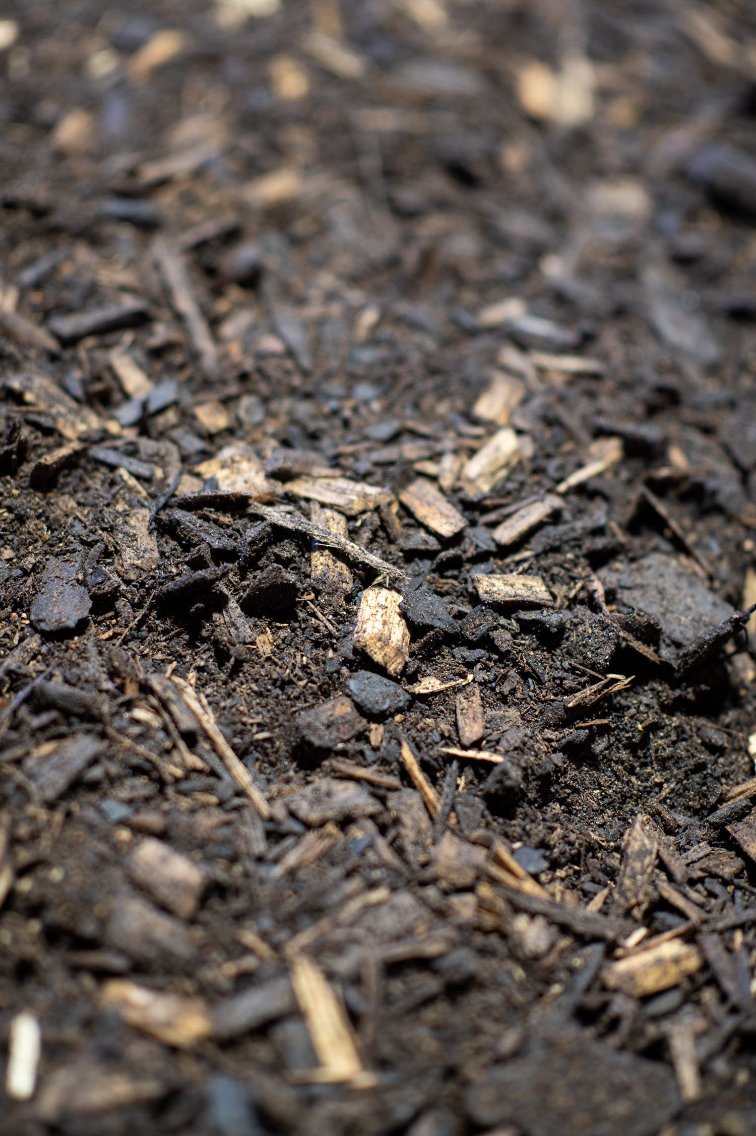 Watersaving Cabin Mulch