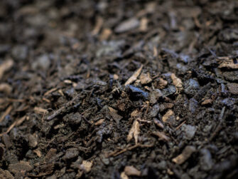 Water saving mulch