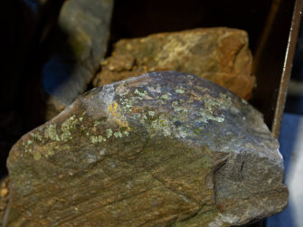 Buttrose Moss Rock