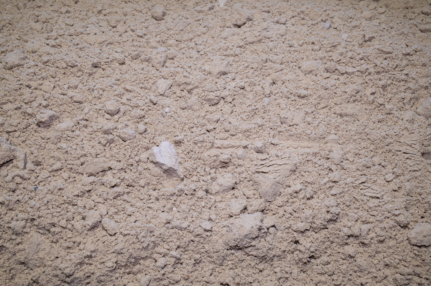 Buttrose Building sand - White