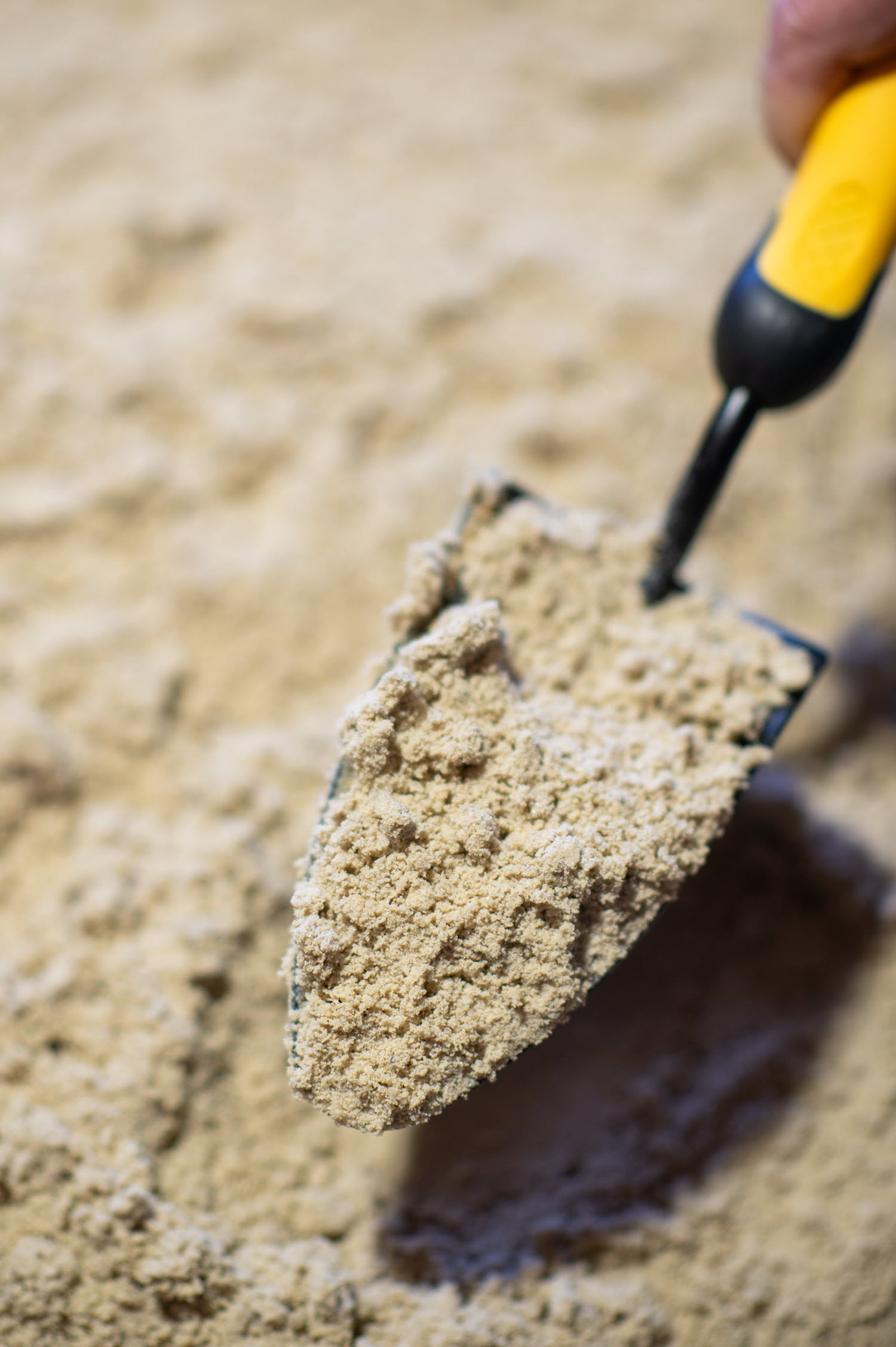 Buttrose Building sand - White