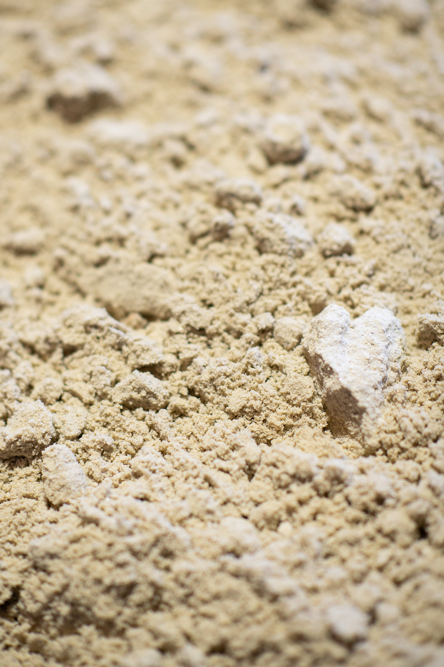 Buttrose Building sand - White