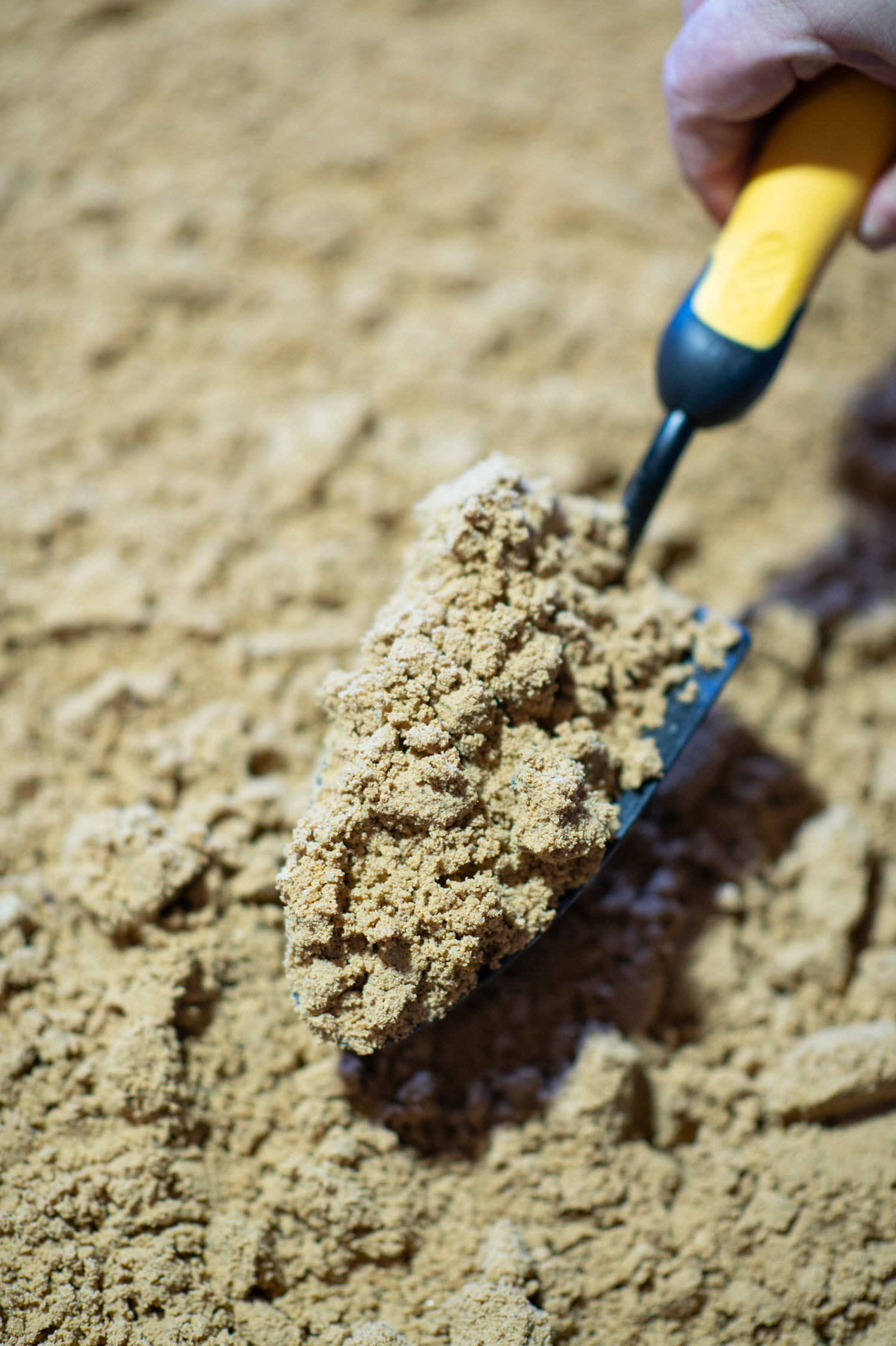 Buttrose Hanson Building Sand