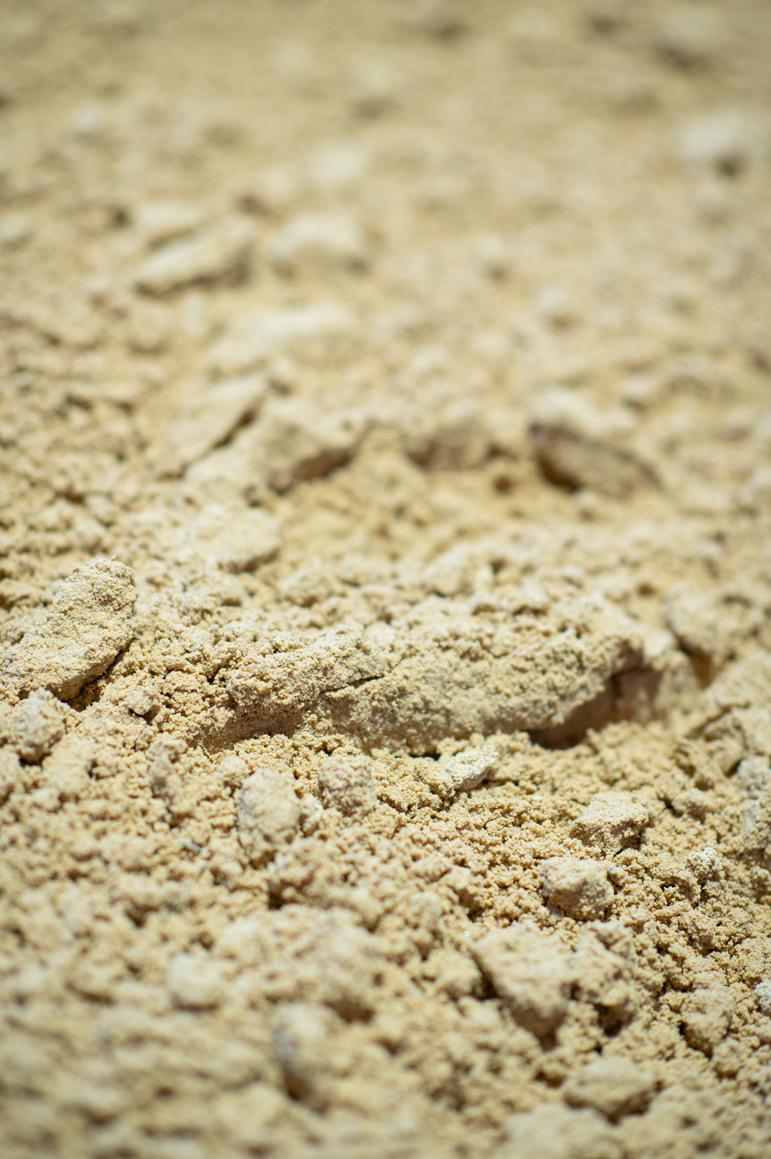 Buttrose Hanson Building Sand