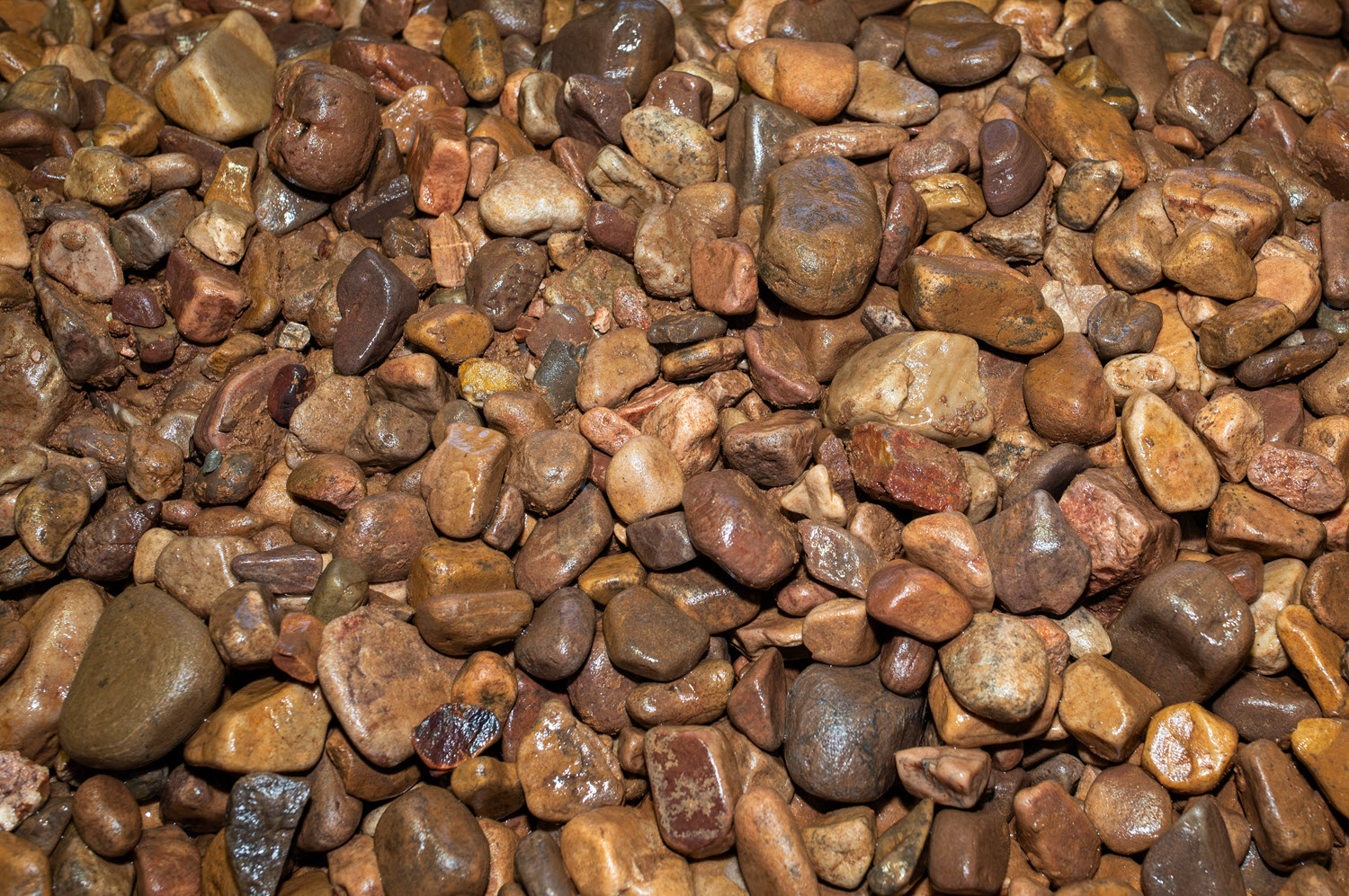 Buttrose Large Flinders Riverstone