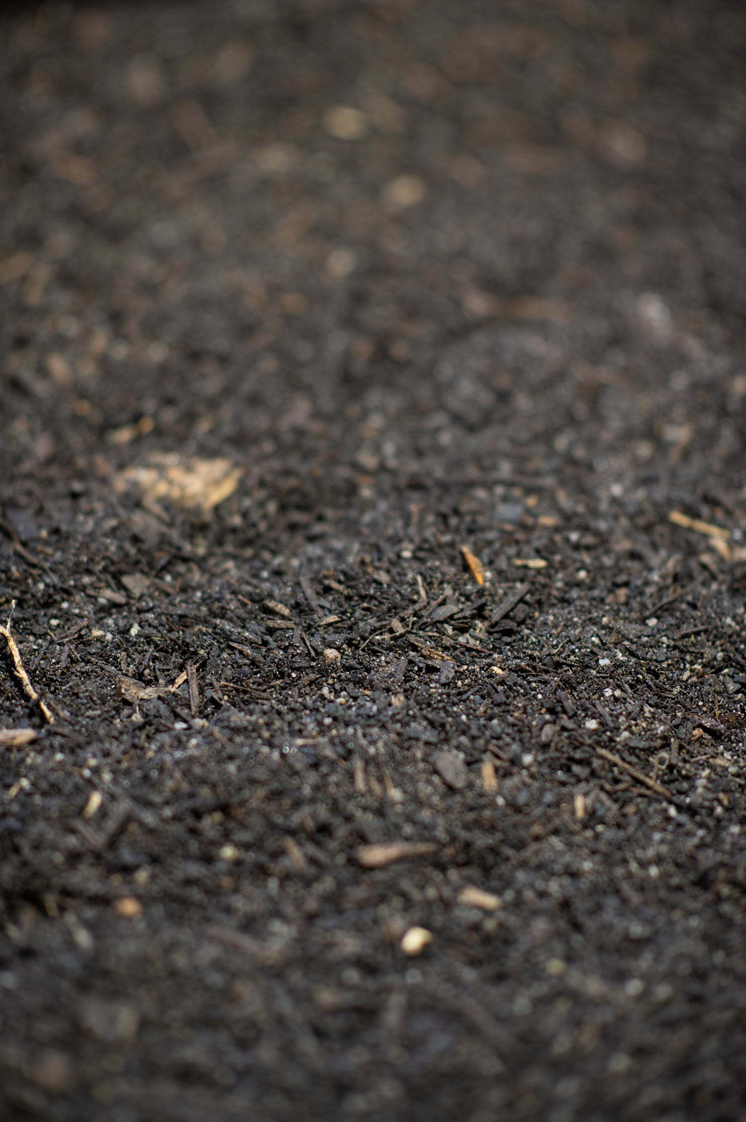 Buttrose Potting Mix