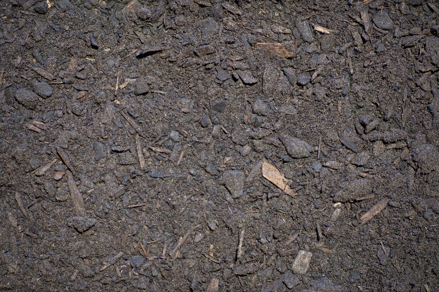 Buttrose Raised Garden Mix