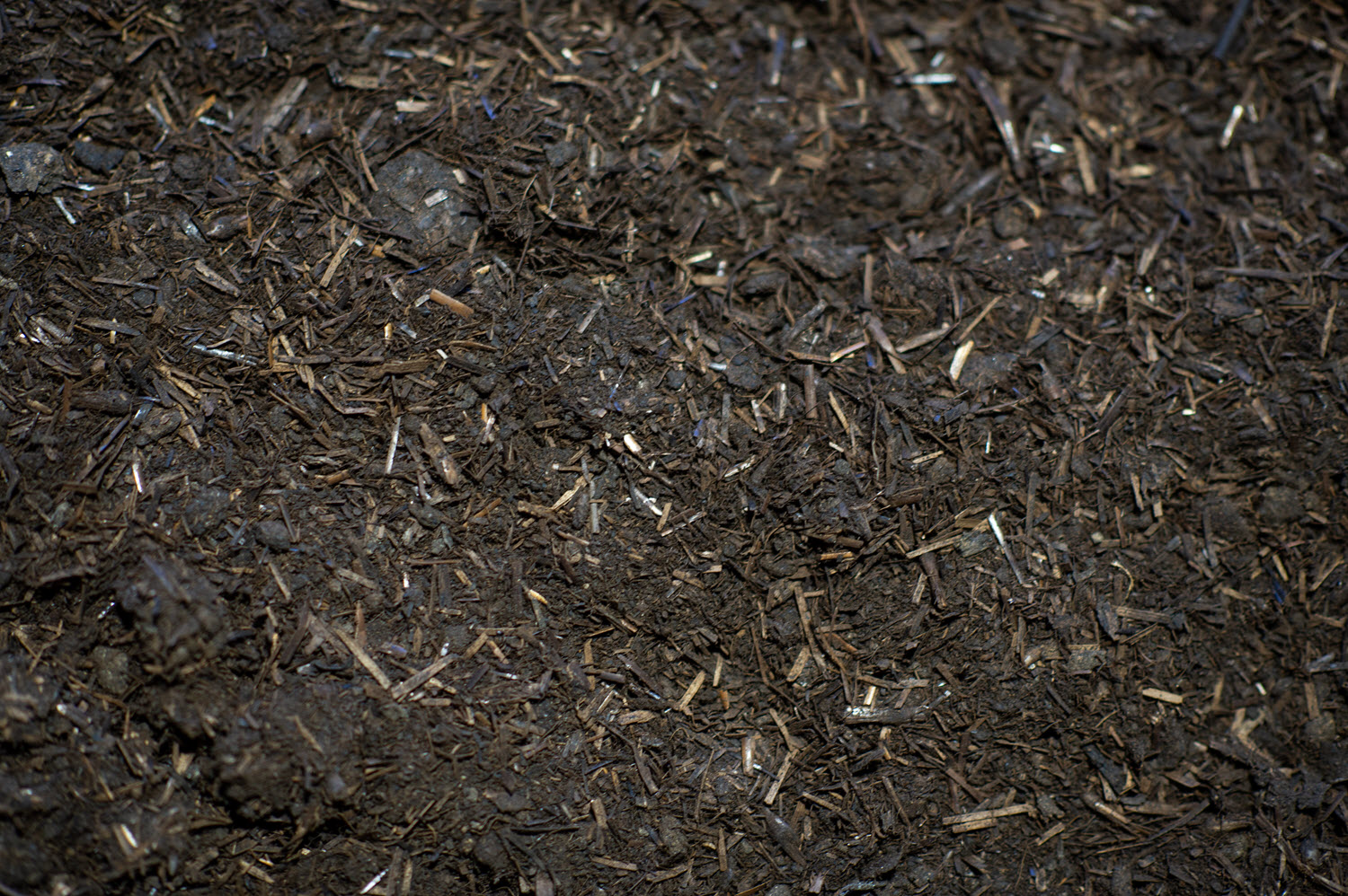 Buttrose Chicken Manure