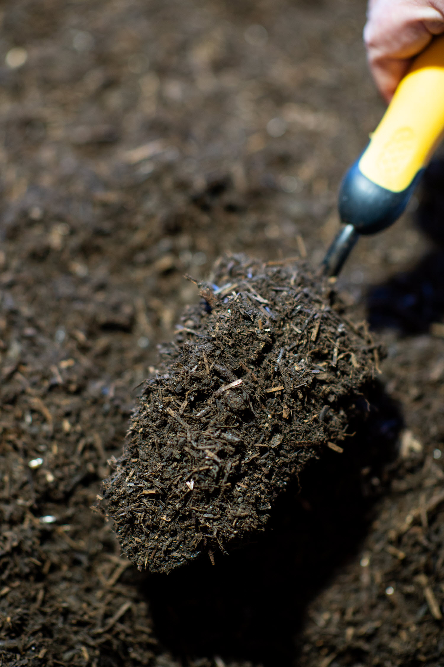 Buttrose Chicken Manure