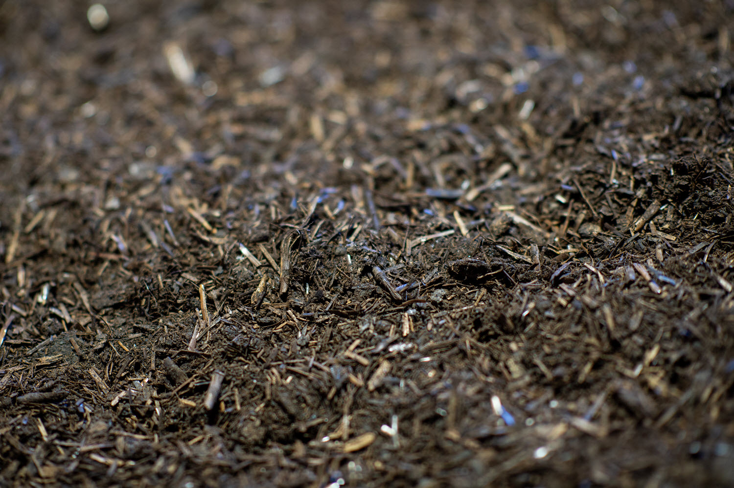 Buttrose Chicken Manure