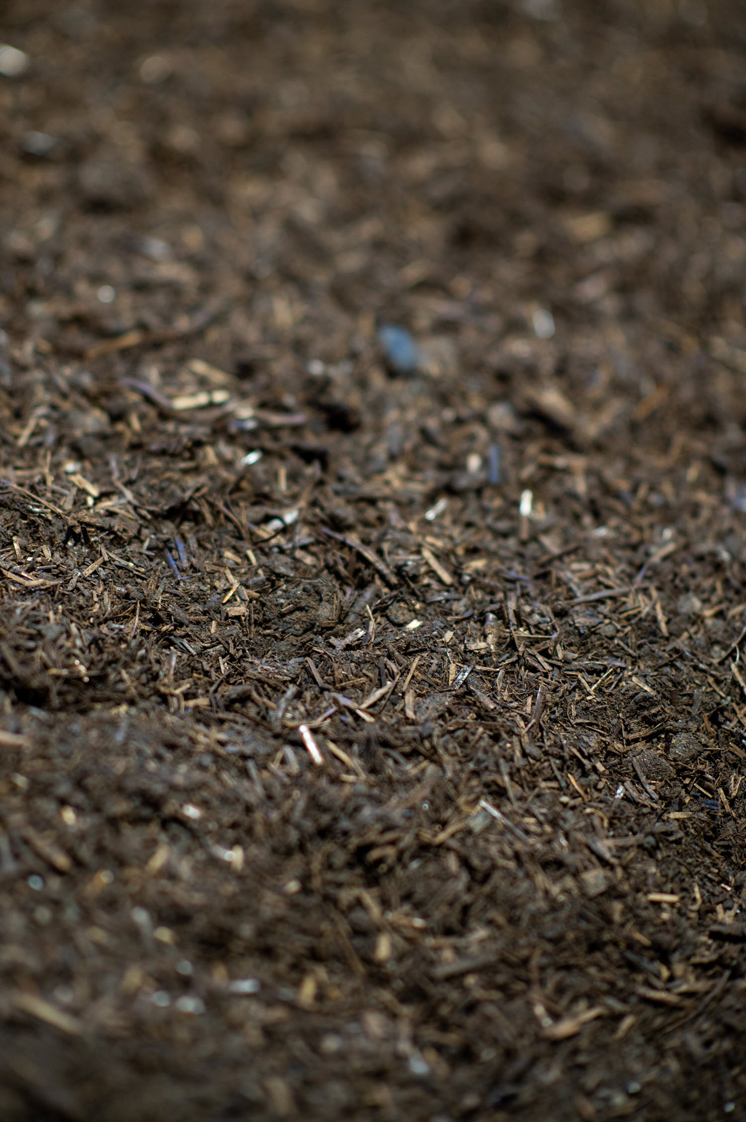 Buttrose Chicken Manure