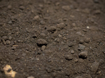 Buttrose Cow Manure