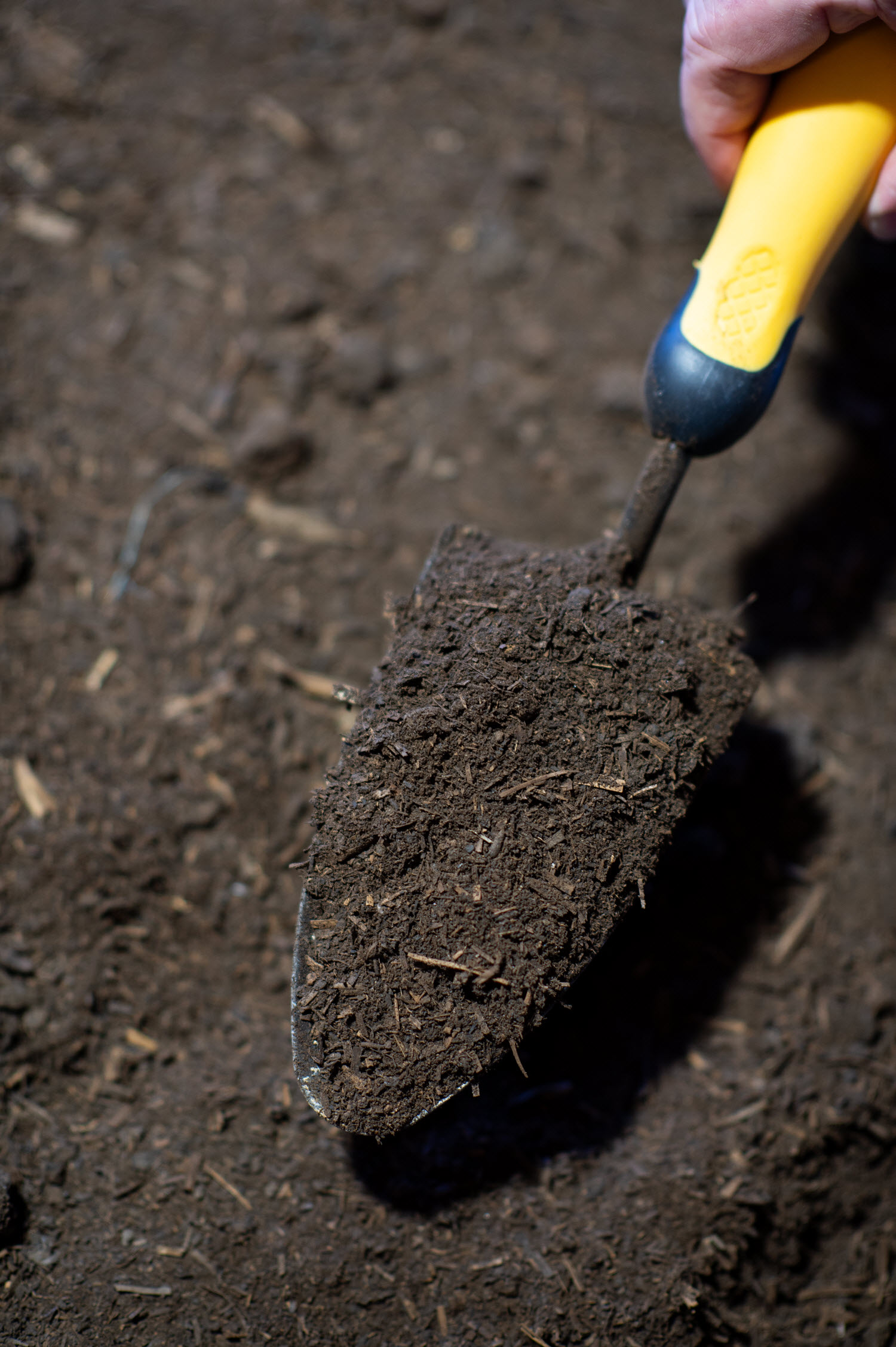 Buttrose Premium organic compost