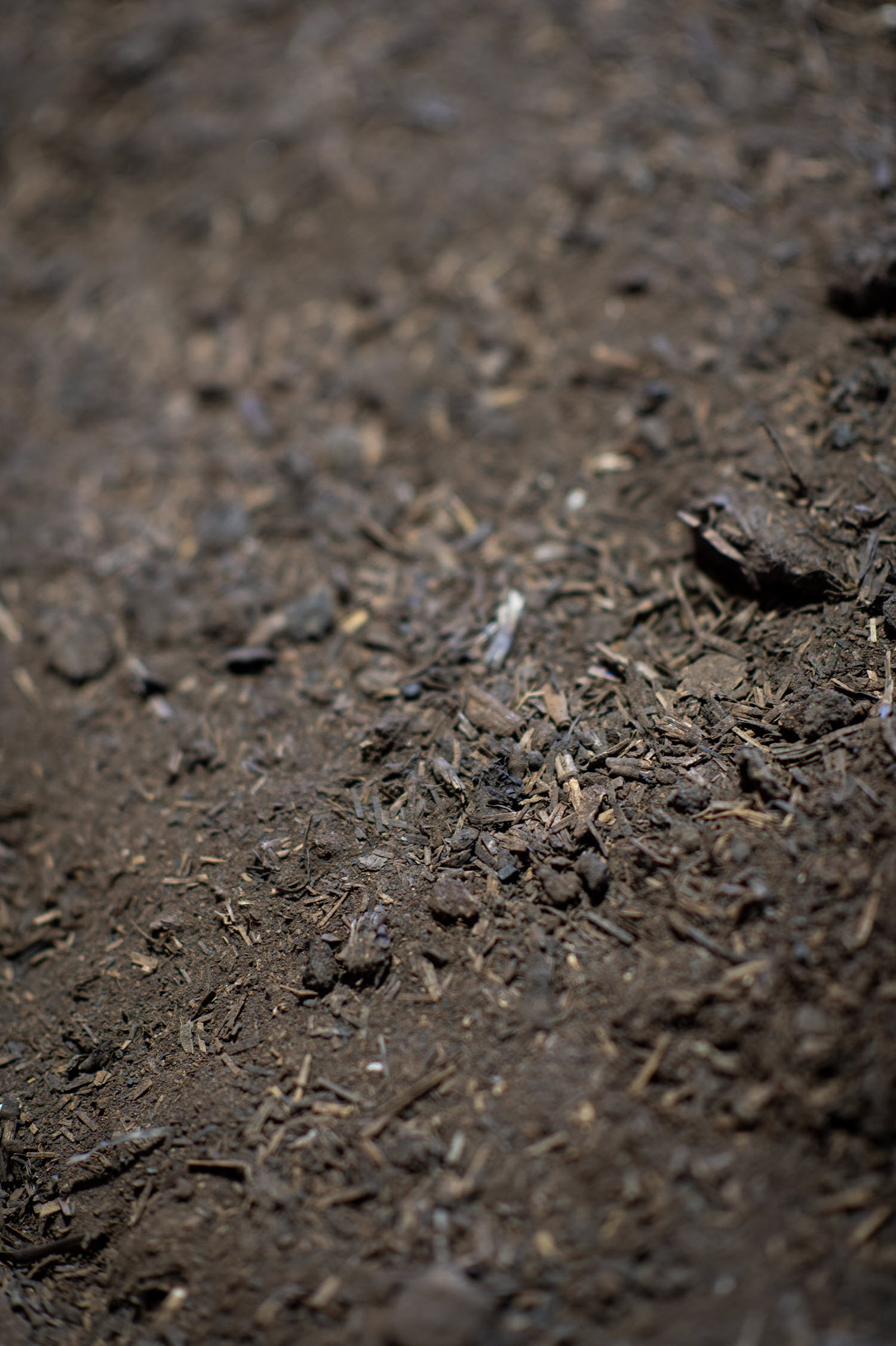 Buttrose Premium organic compost