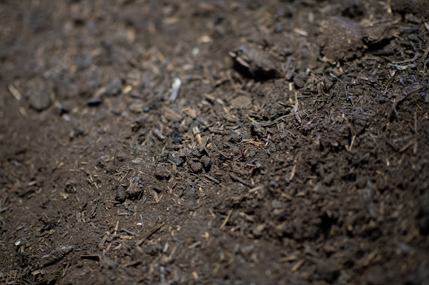 Buttrose Premium organic compost