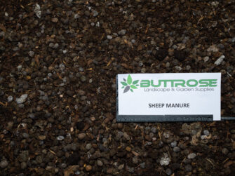 Sheep Manure
