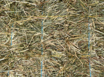 Oaten Hay